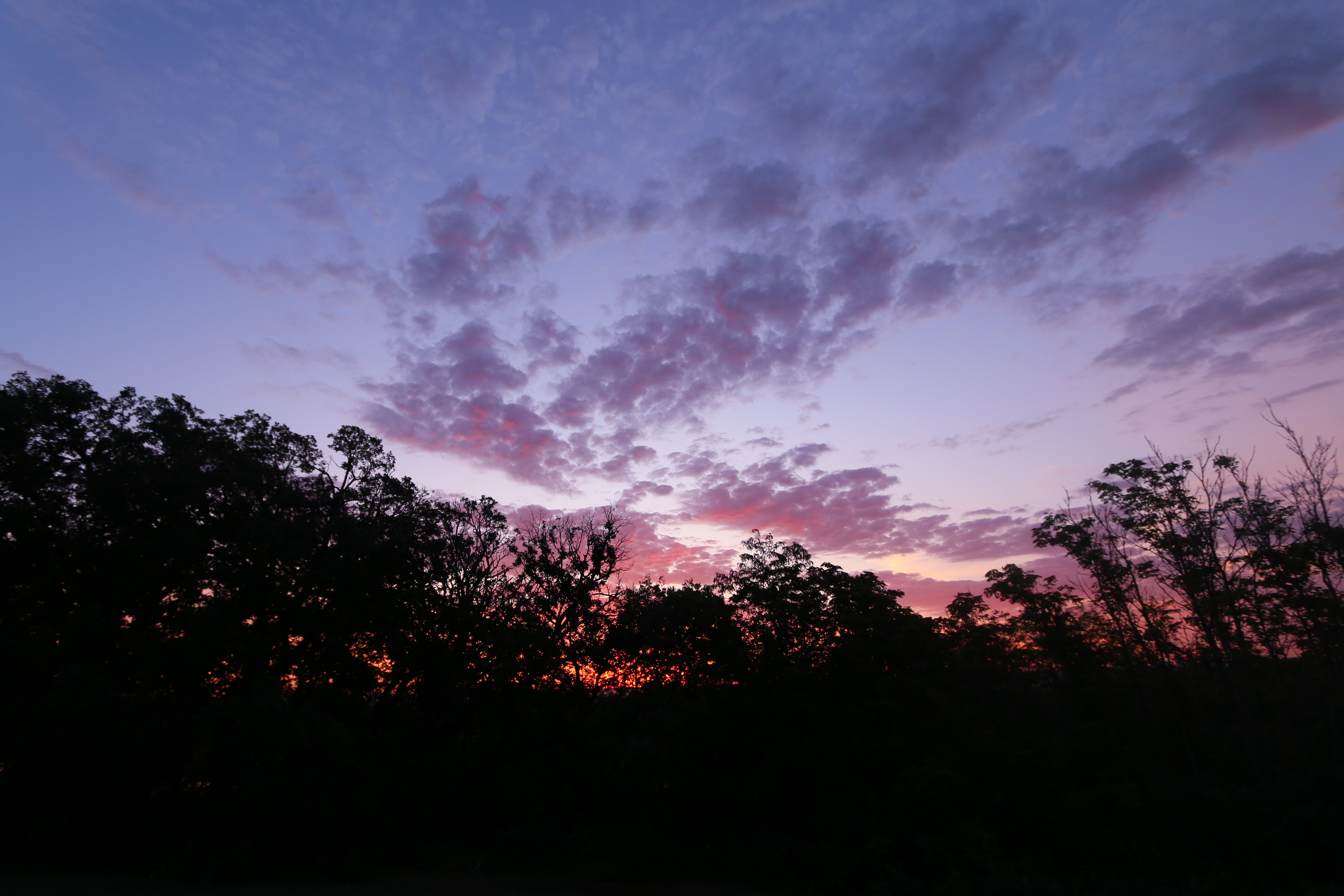 Landscape 4